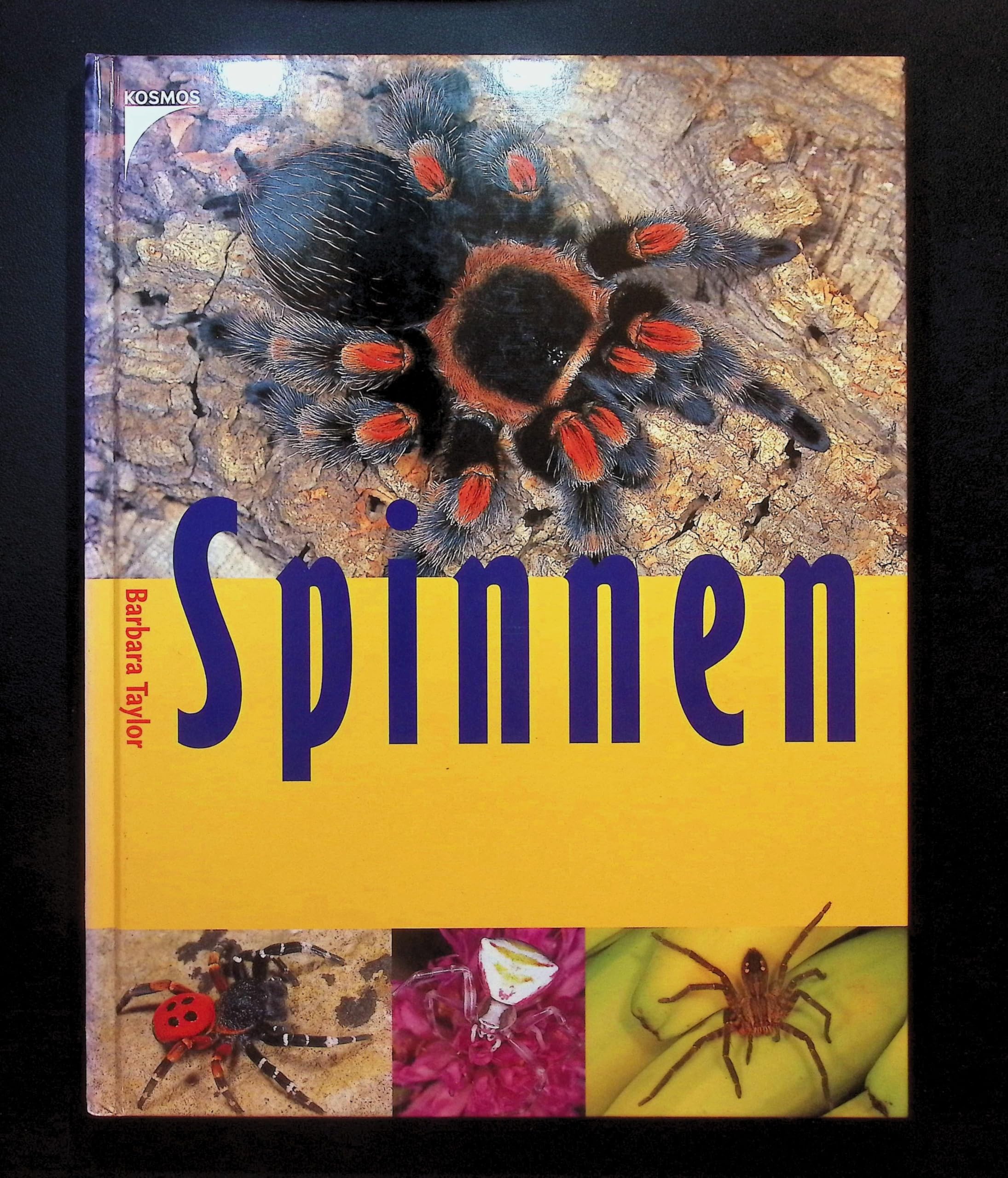 Spinnen Books