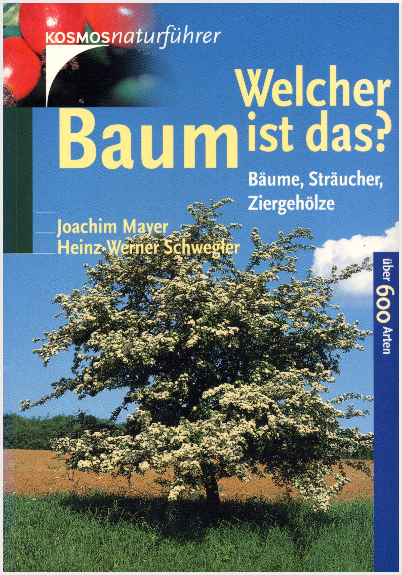 Welcher Baum ist das? Bäume, Sträucher, Ziergehölze Natural Sciences