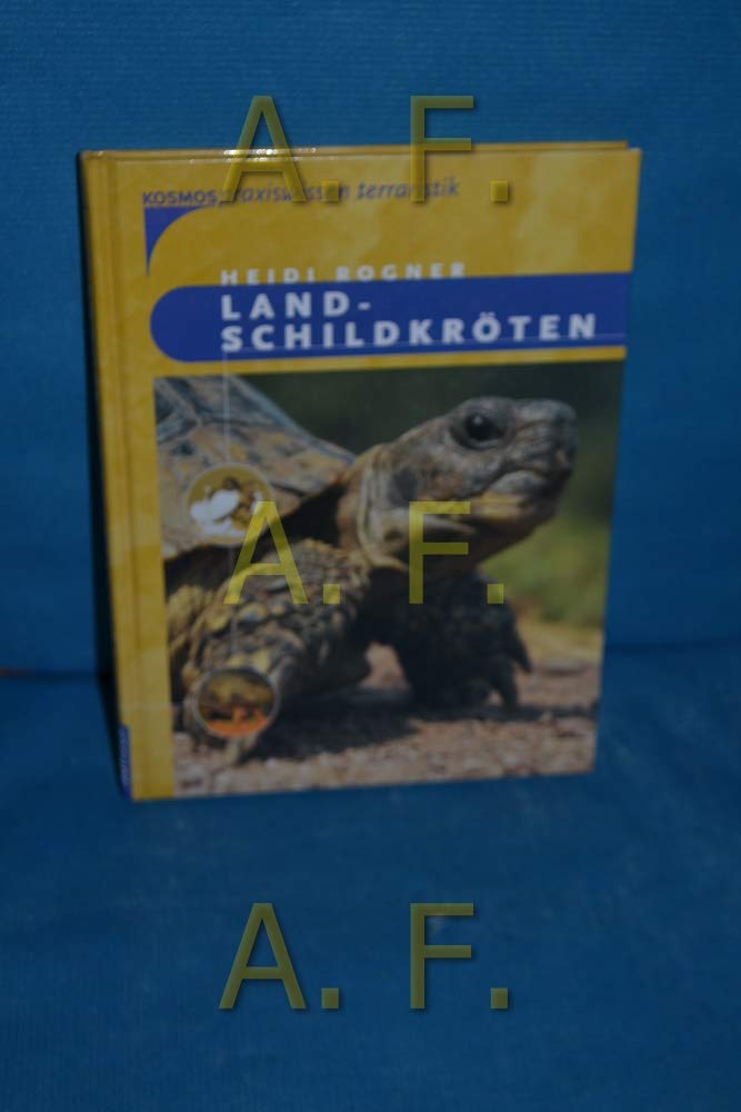 Landschildkröten Pets