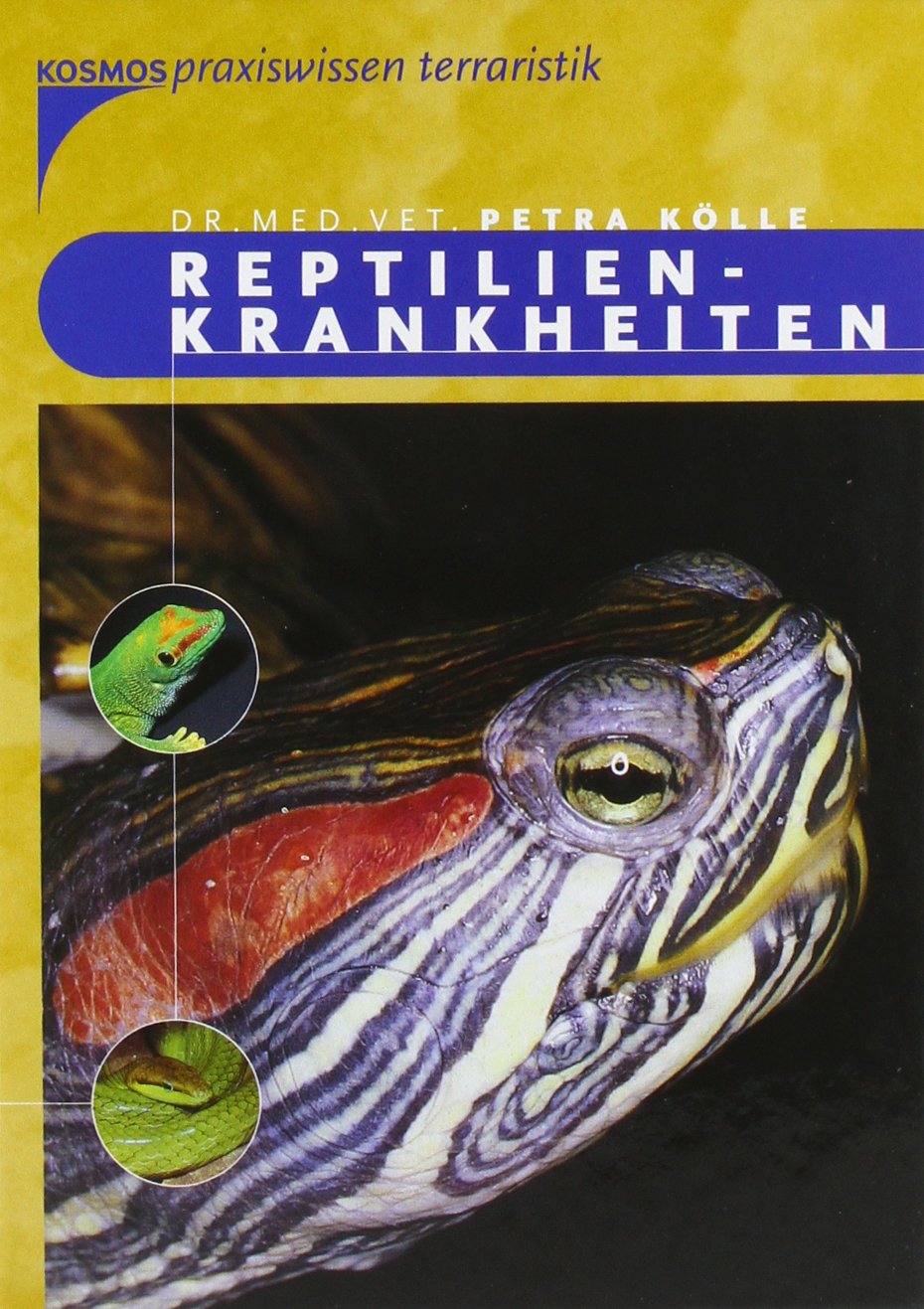 Reptilienkrankheiten Pets