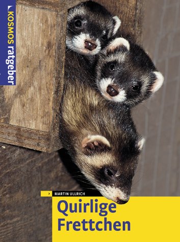 Product Image: Quirlige Frettchen