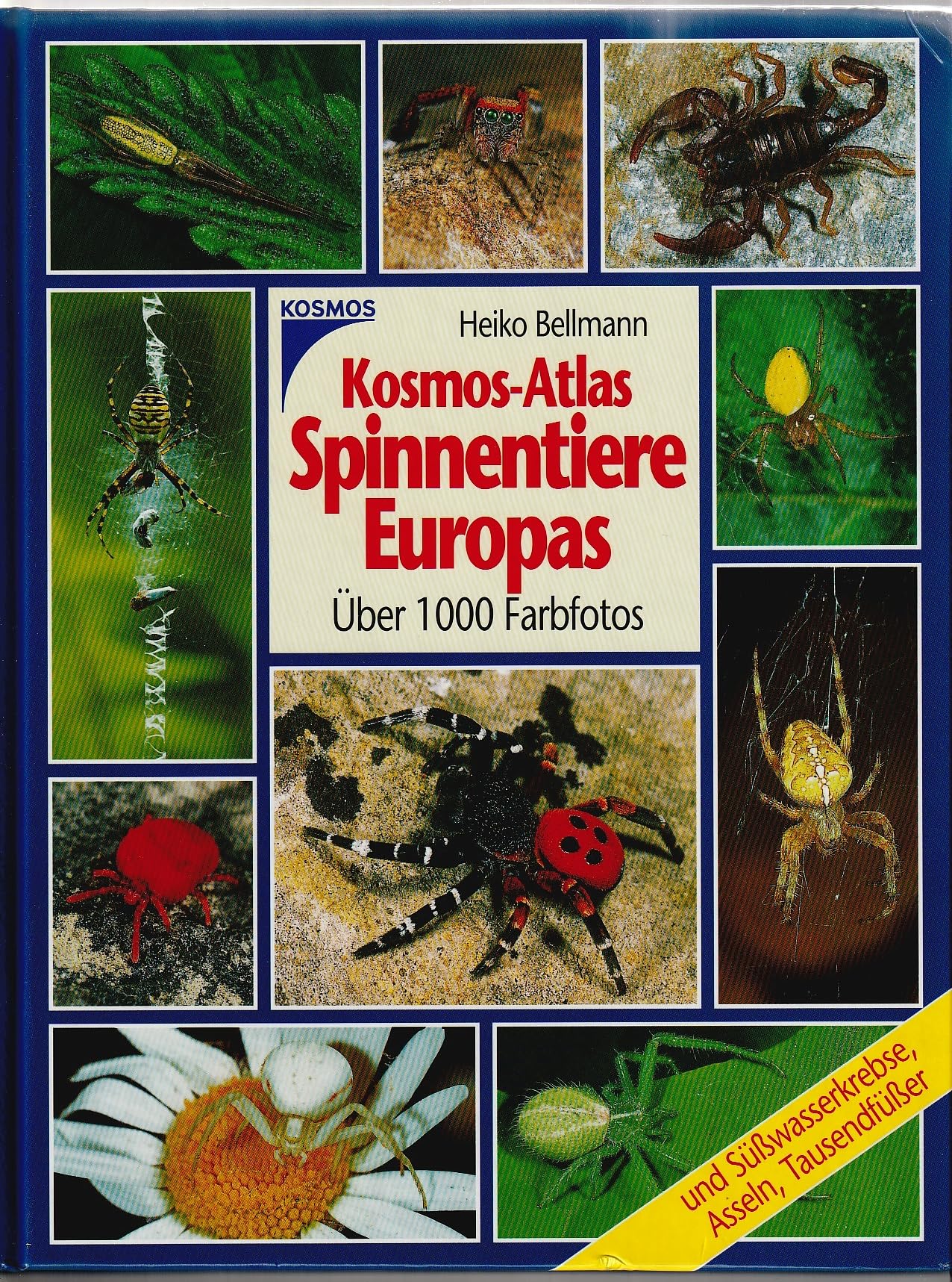 Kosmos Atlas Spinnentiere Europas Leisure, Home & Garden