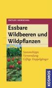 Essbare Wildbeeren und Wildpflanzen: Sammeltipps, Verwendung, giftige Doppelgänger Leisure, Home & Garden