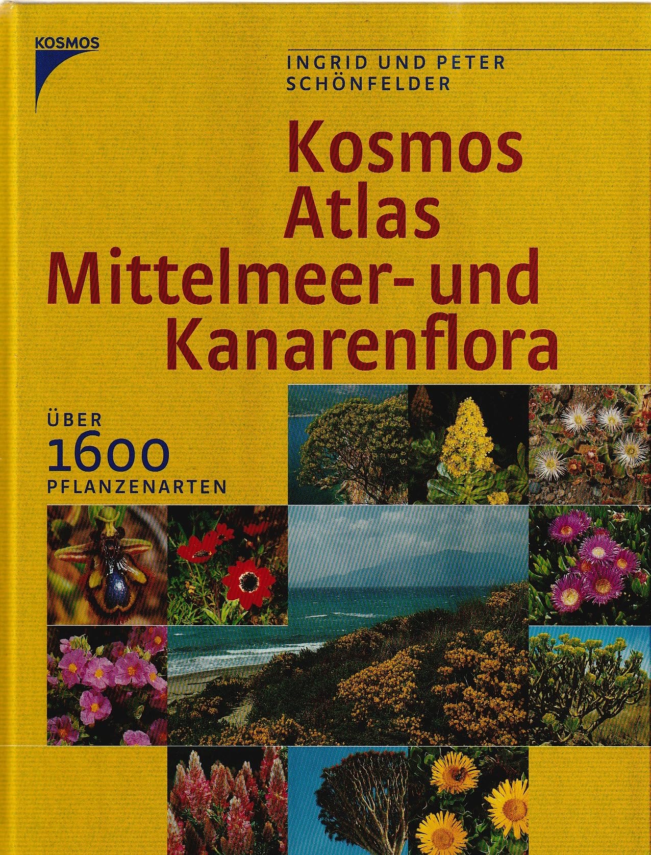 Kosmos Atlas Mittelmeer- und Kanarenflora: Über 1600 Pflanzenarten Garden & Plants