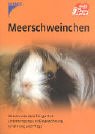 Meerschweinchen: Wissen, was dem Tier gut tut Pets