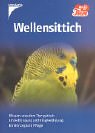 Wellensittich: Wissen, was dem Tier gut tut Pets