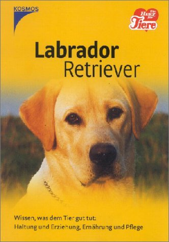Labrador Retriever: Wissen, was dem Tier gut tut Mathematics