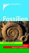 Fossilien. Extra: Ablauf der Erdgeschichte Natural Sciences