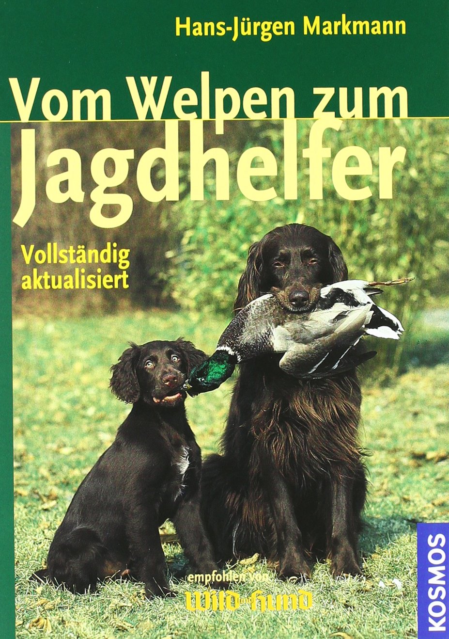 Vom Welpen zum Jagdhelfer Leisure & Fun
