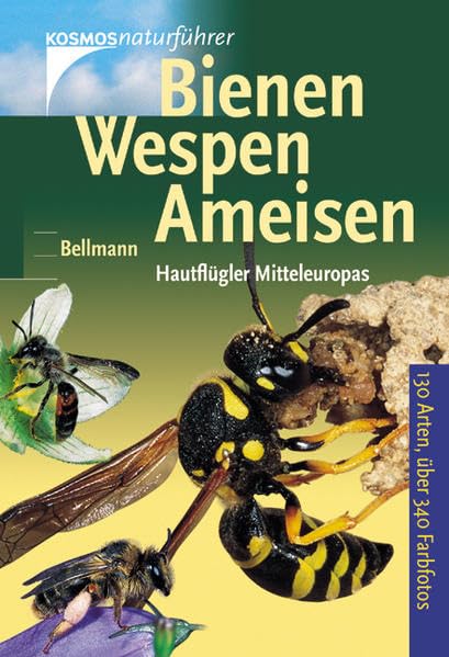 Bienen, Wespen, Ameisen: Hautflügler Europas (Kosmos-Naturführer) Leisure, Home & Garden