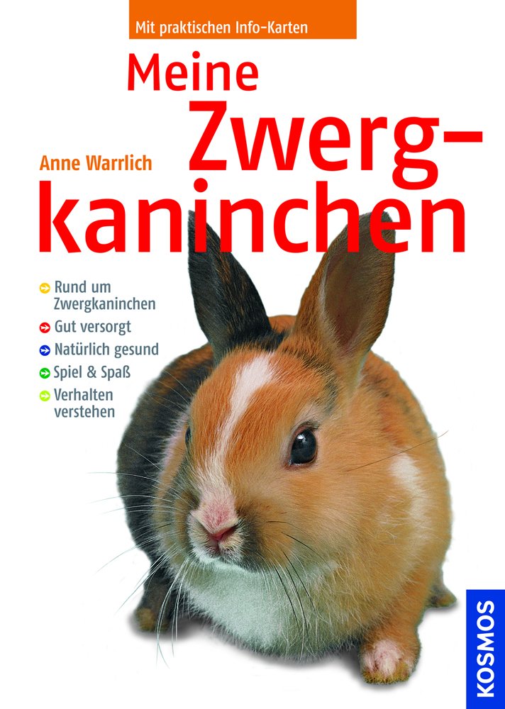 Meine Zwergkaninchen Pets