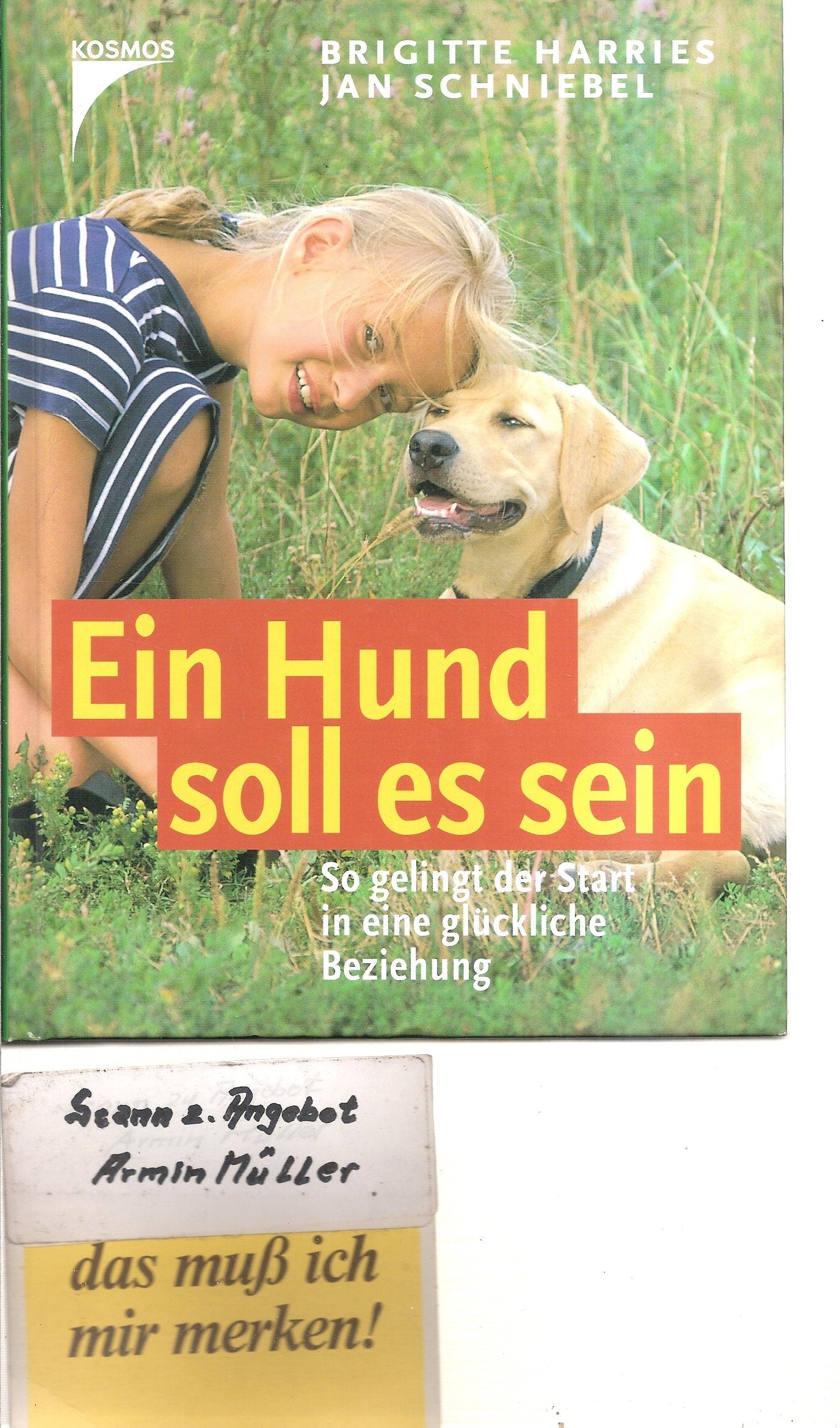 Ein Hund soll es sein: So gelingt der Start in eine glückliche Beziehung Pets