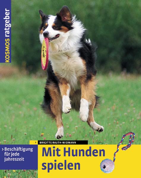 Mit Hunden spielen: Beschäftigung für jede Jahreszeit Pets