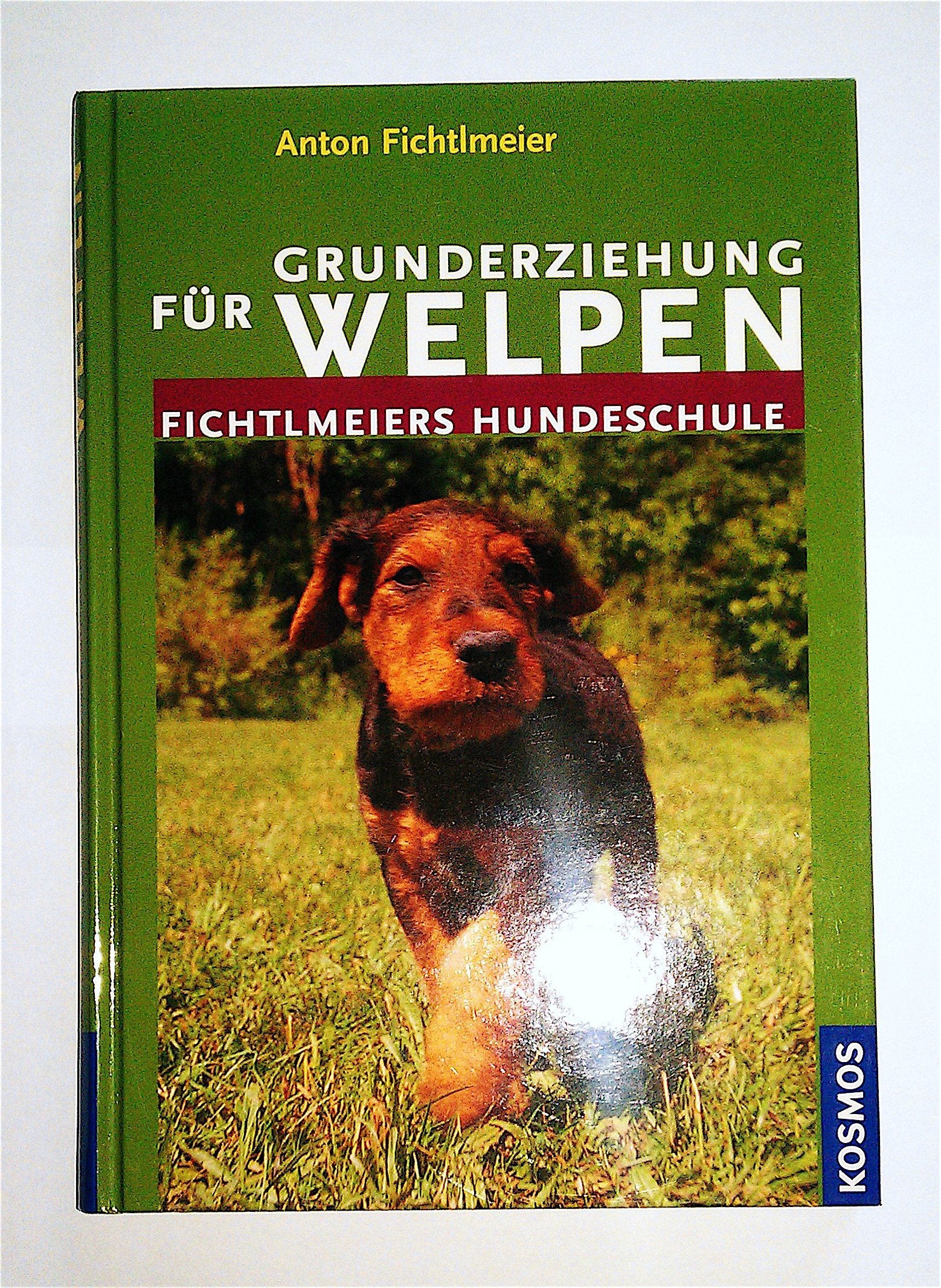 Grunderziehung für Welpen: Fichtlmeiers Hundeschule Pets