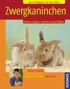 Product Image: Zwergkaninchen