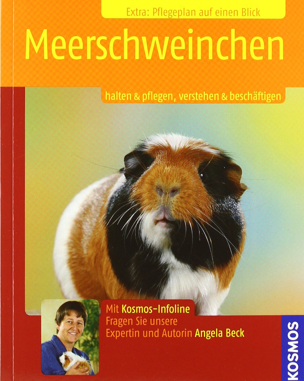 Meerschweinchen Pets