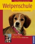 Welpenschule: Sozialisieren, erziehen & beschäftigen Pets