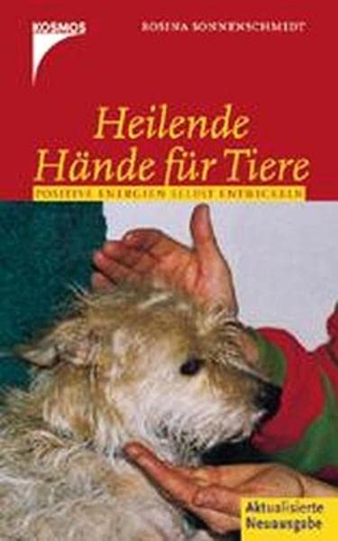 Heilende Hände für Tiere: Positive Energien selbst entwickeln Pets