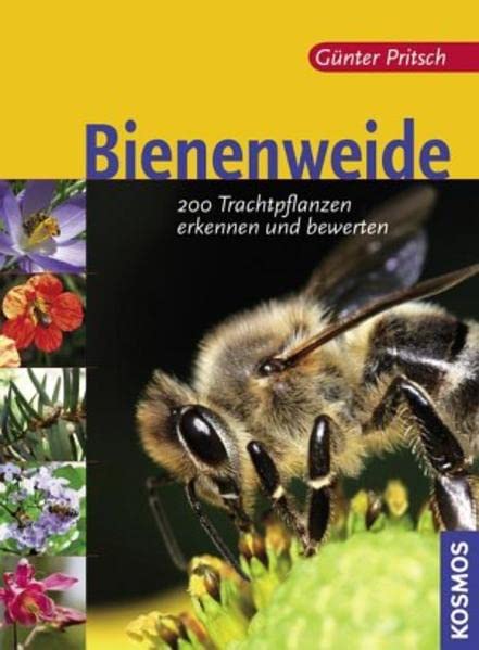 Product Image: Bienenweide