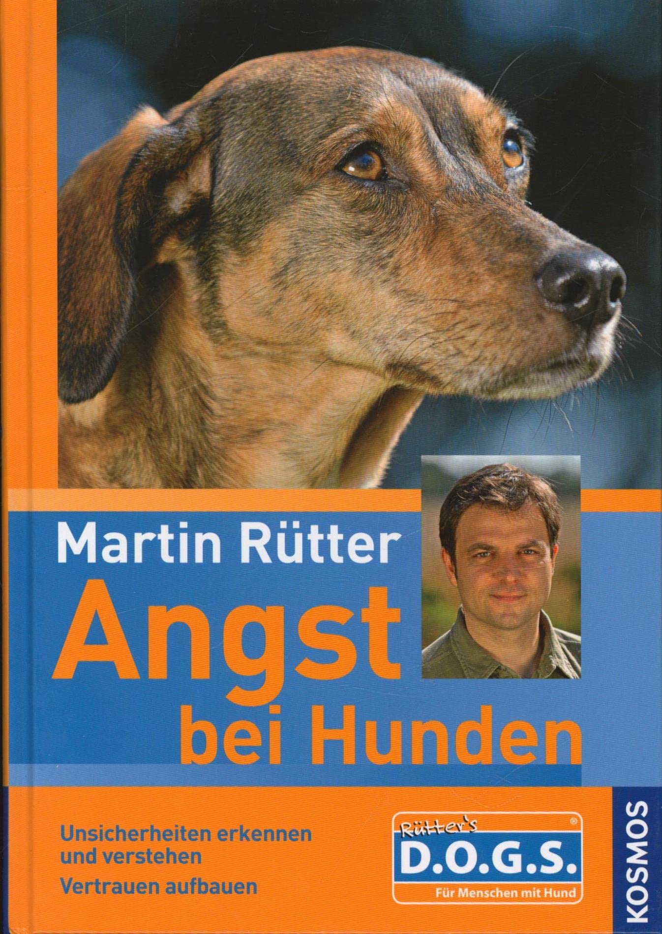 Angst bei Hunden Pets