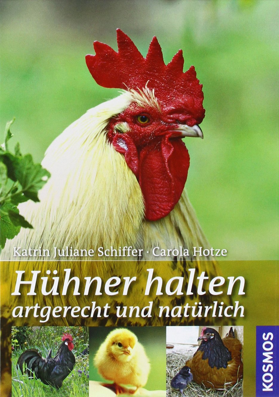 Hühner halten: artgerecht und natürlich Pets