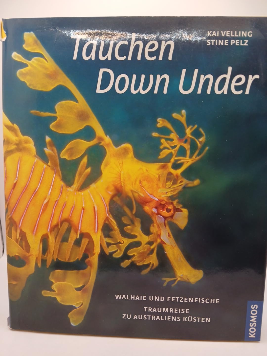 Tauchen Down Under: Walhaie und Fetzenfische - Traumreise zu Australiens Küsten Leisure & Fun