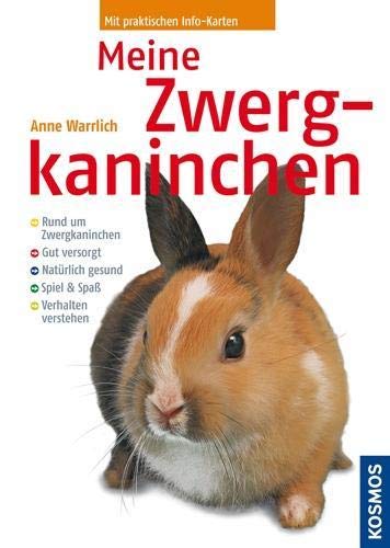 Meine Zwergkaninchen Pets