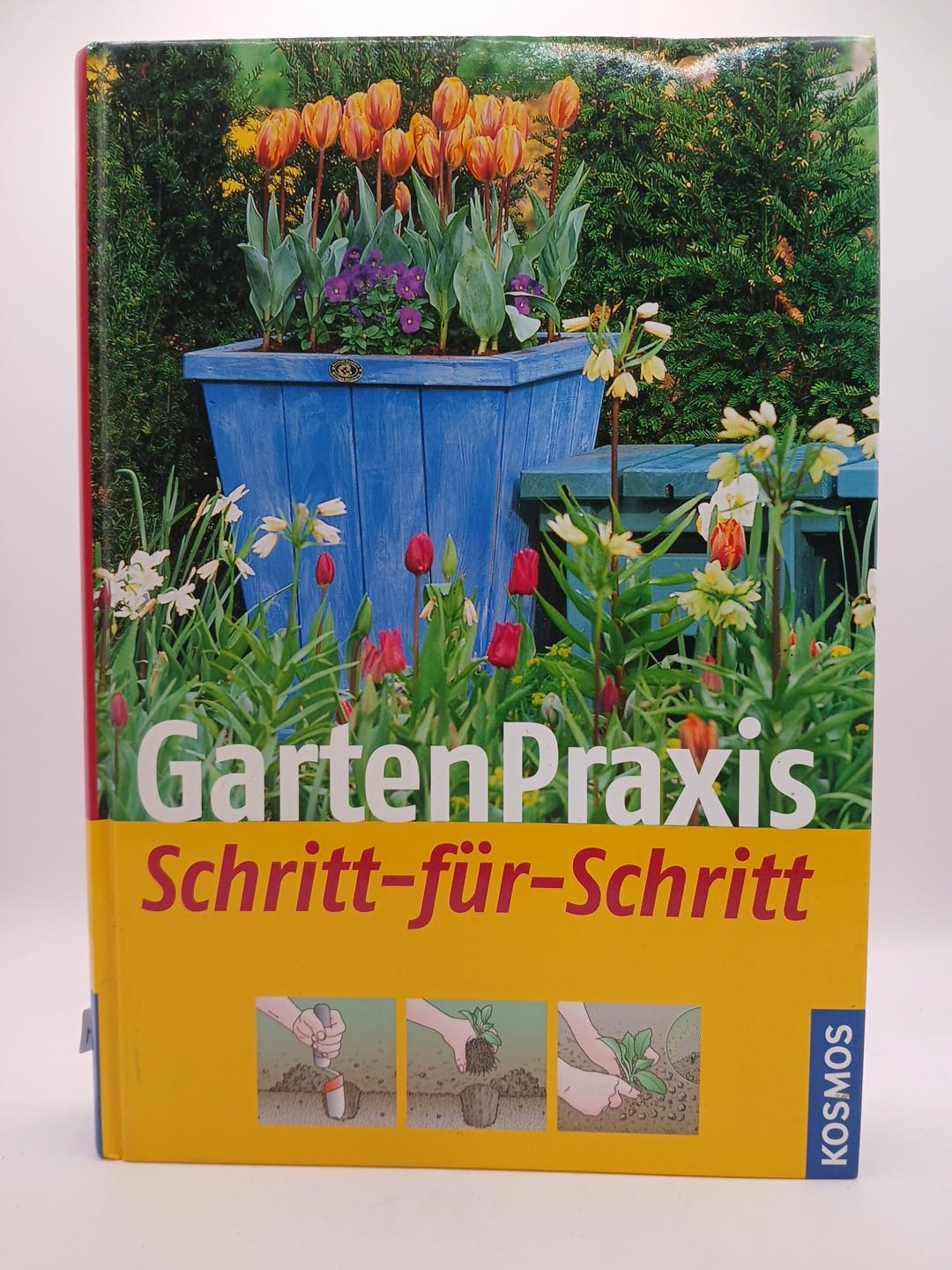 Gartenpraxis Schritt für Schritt Leisure, Home & Garden