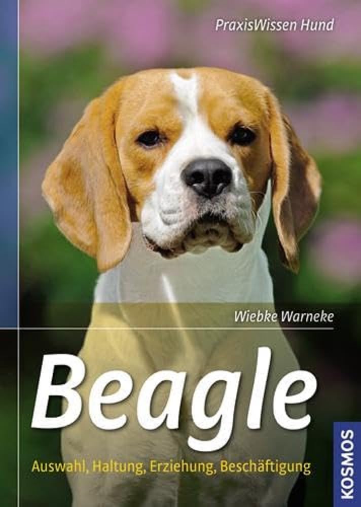 Beagle Pets