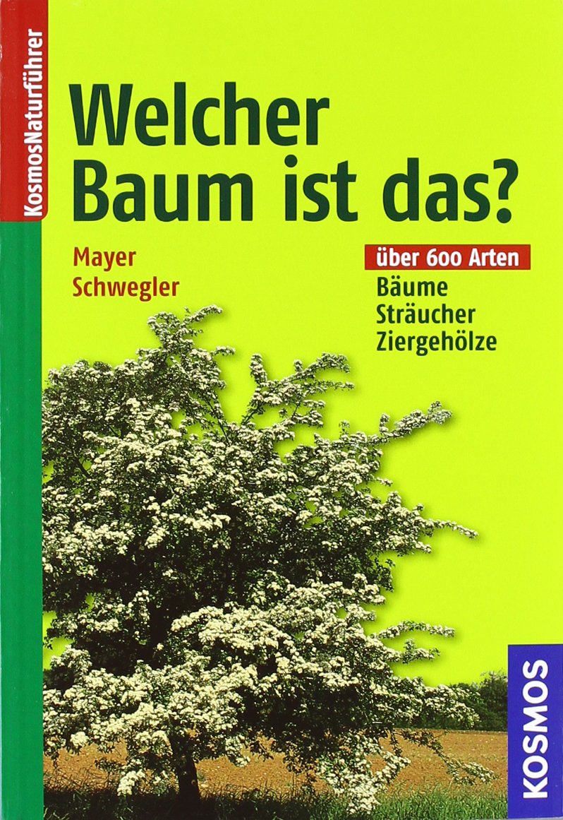 Welcher Baum ist das?: Bäume, Sträucher, Ziergehölze Leisure, Home & Garden