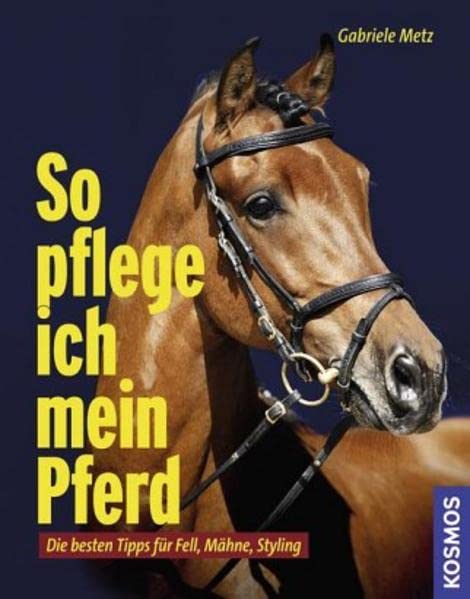 So pflege ich mein Pferd: Die besten Tipps für Fell, Mähne, Styling Pets