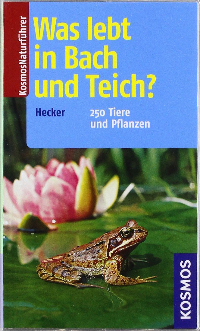 Was lebt in Bach und Teich?: 250 Tiere und Pflanzen Learning & Reference