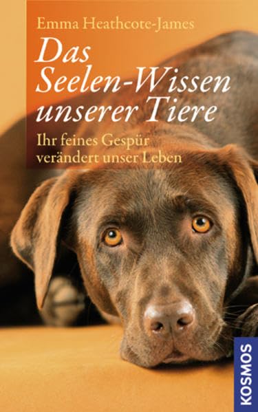 Das Seelen-Wissen unserer Tiere: Ihr feines Gespür verändert unser Leben Pets