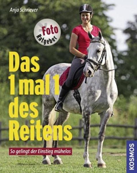 1 mal 1 des Reitens: So gelingt der Einstieg mühelos Pets