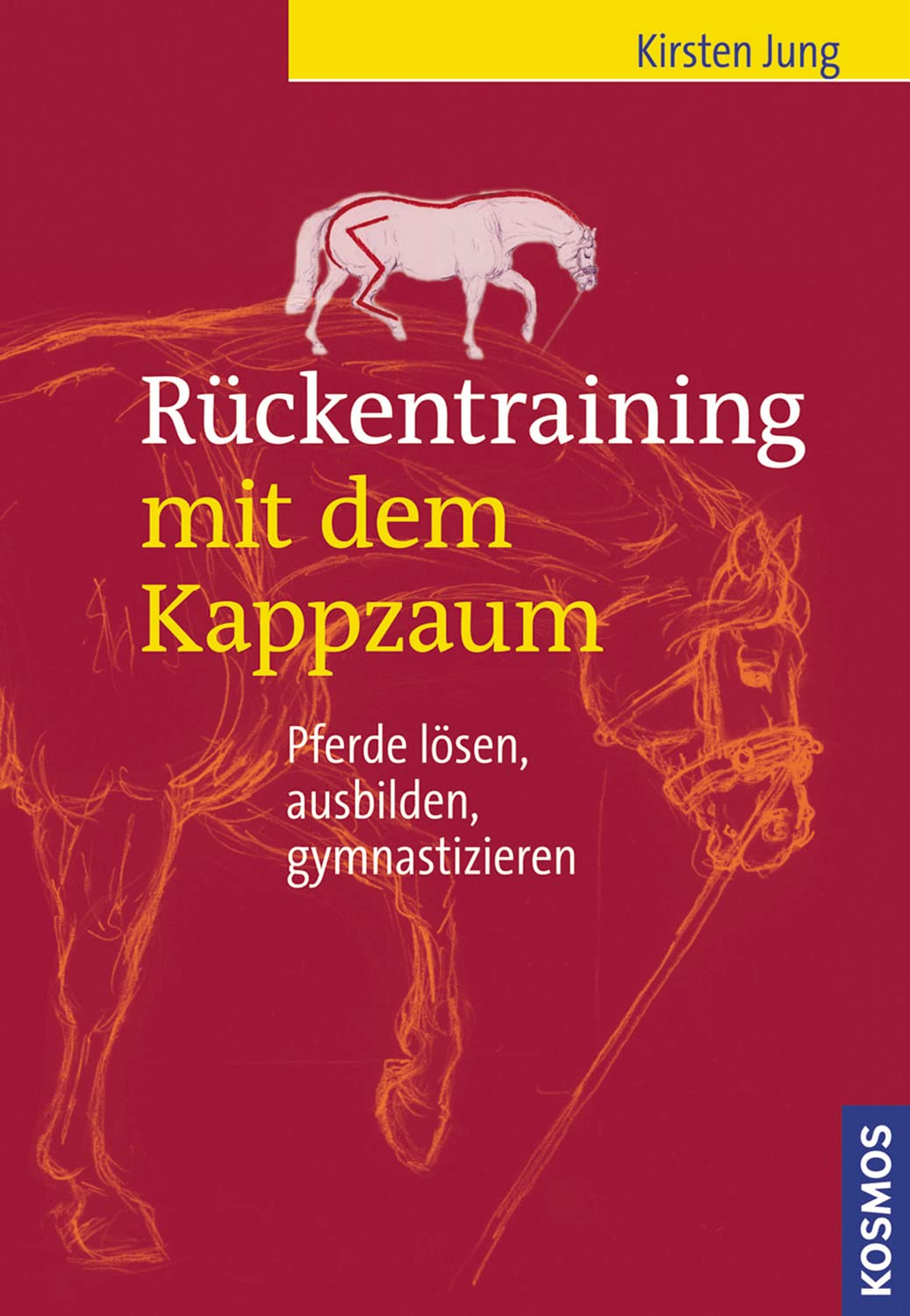 Rückentraining mit dem Kappzaum Medicine