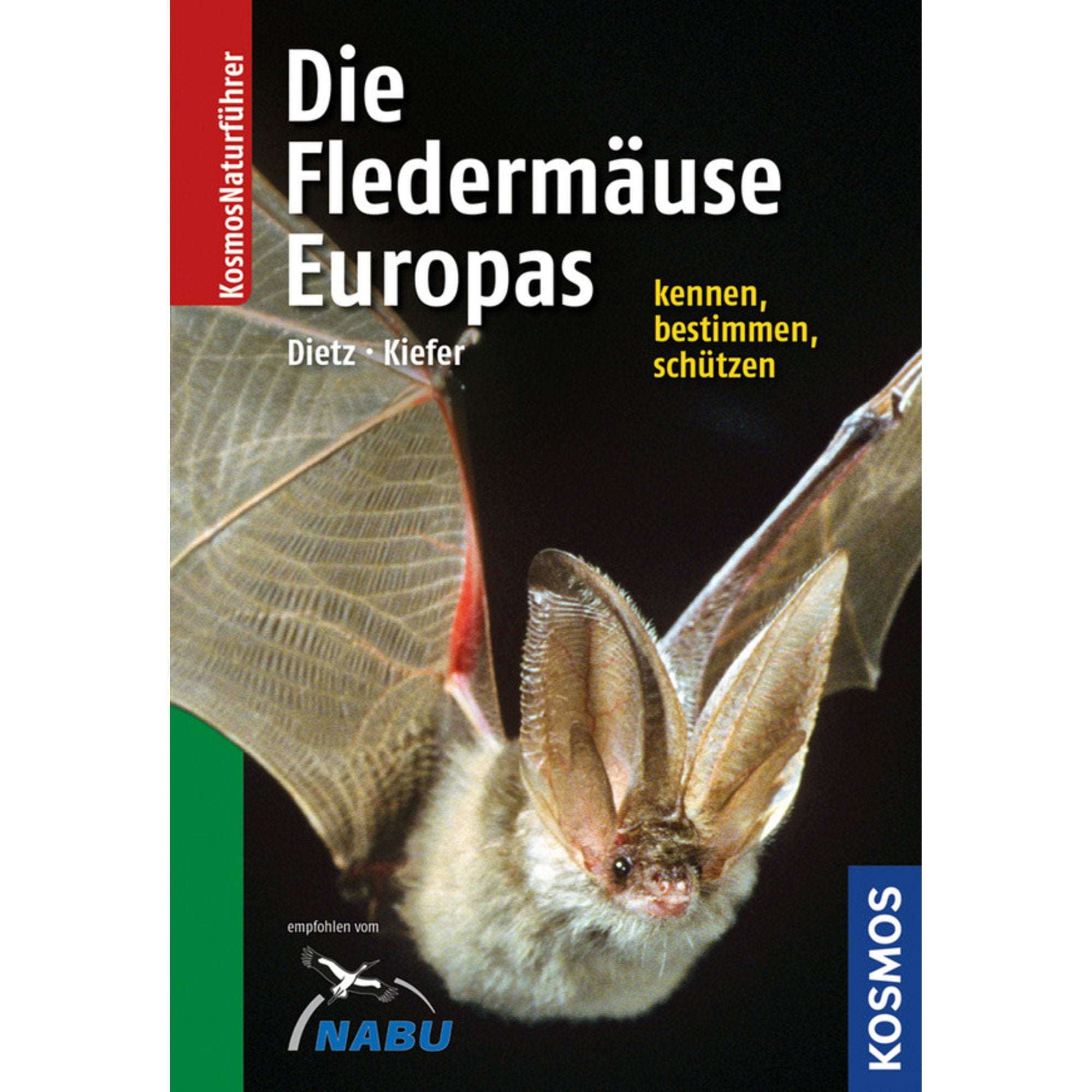 Naturführer Fledermäuse Europas: Alle Arten erkennen und sicher bestimmen Leisure, Home & Garden