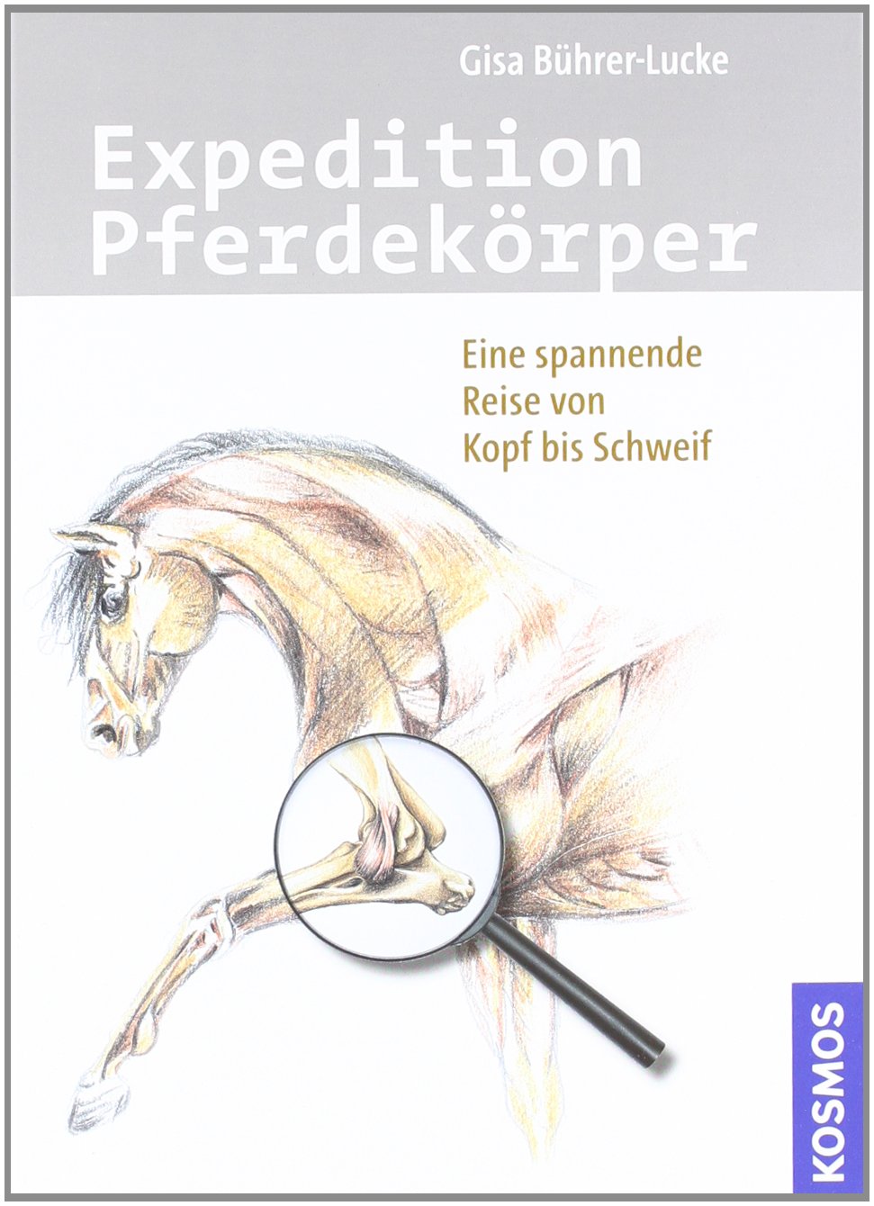 Expedition Pferdekörper Books about Pets