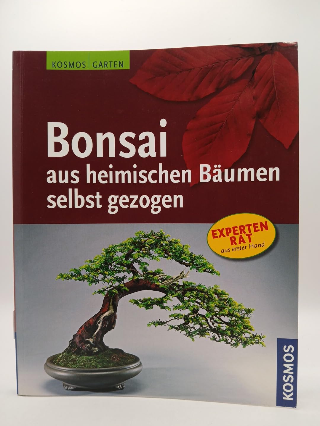 Bonsai aus heimischen Bäumen selbst gezogen Garden & Plants