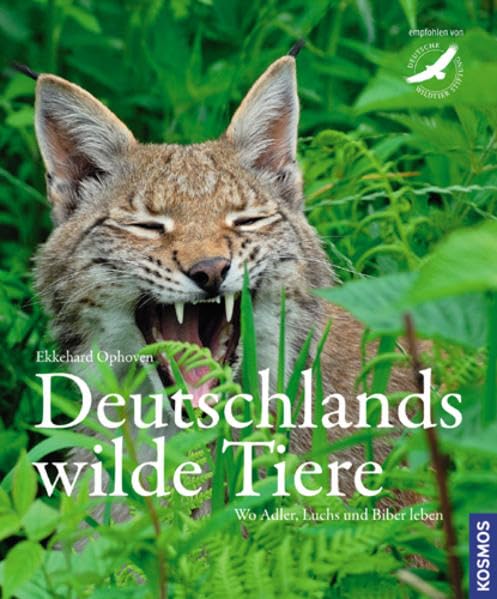 Deutschlands wilde Tiere: Wo Adler, Dachs und Biber leben Leisure, Home & Garden