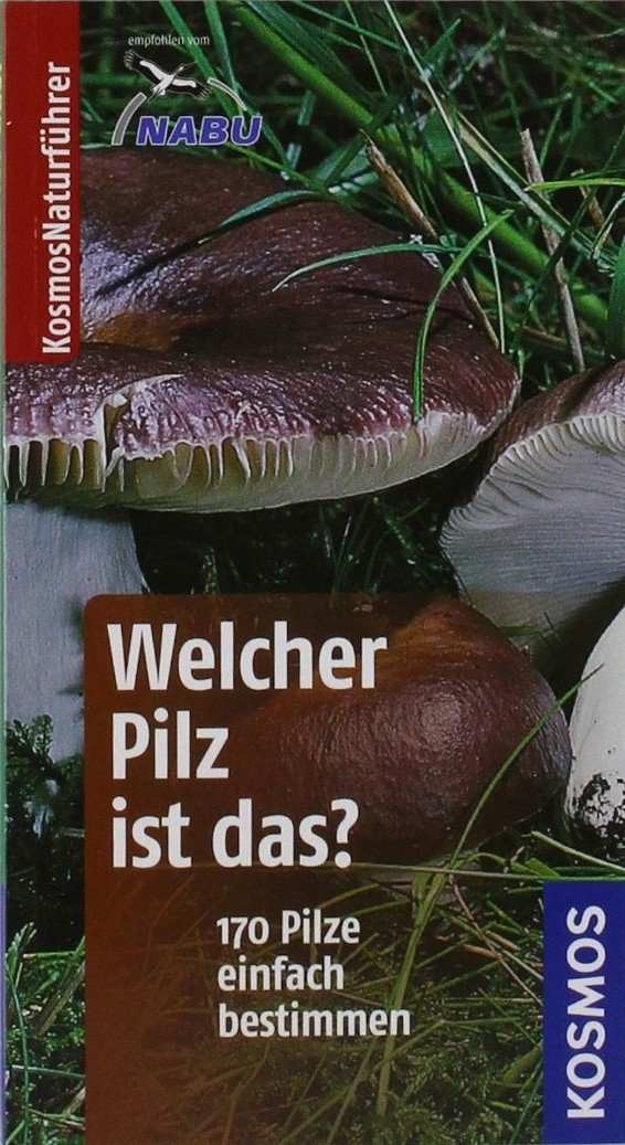 Product Image: Welcher Pilz ist das?