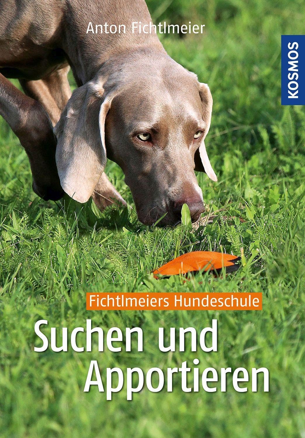 Suchen und Apportieren Pets