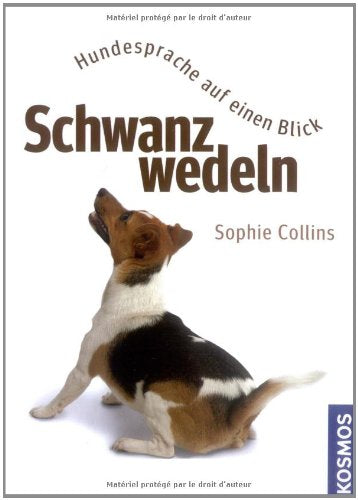 Schwanzwedeln: Hundesprache auf einen Blick Pets