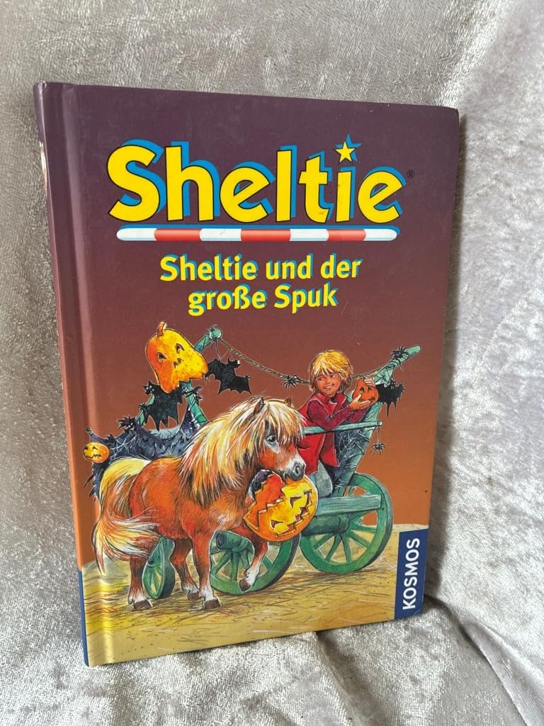Sheltie und der große Spuk Novels & Short Stories for children