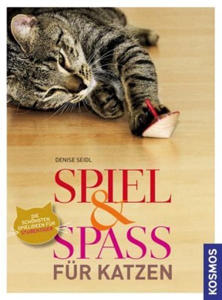 Spiel & Spaß für Katzen Pets