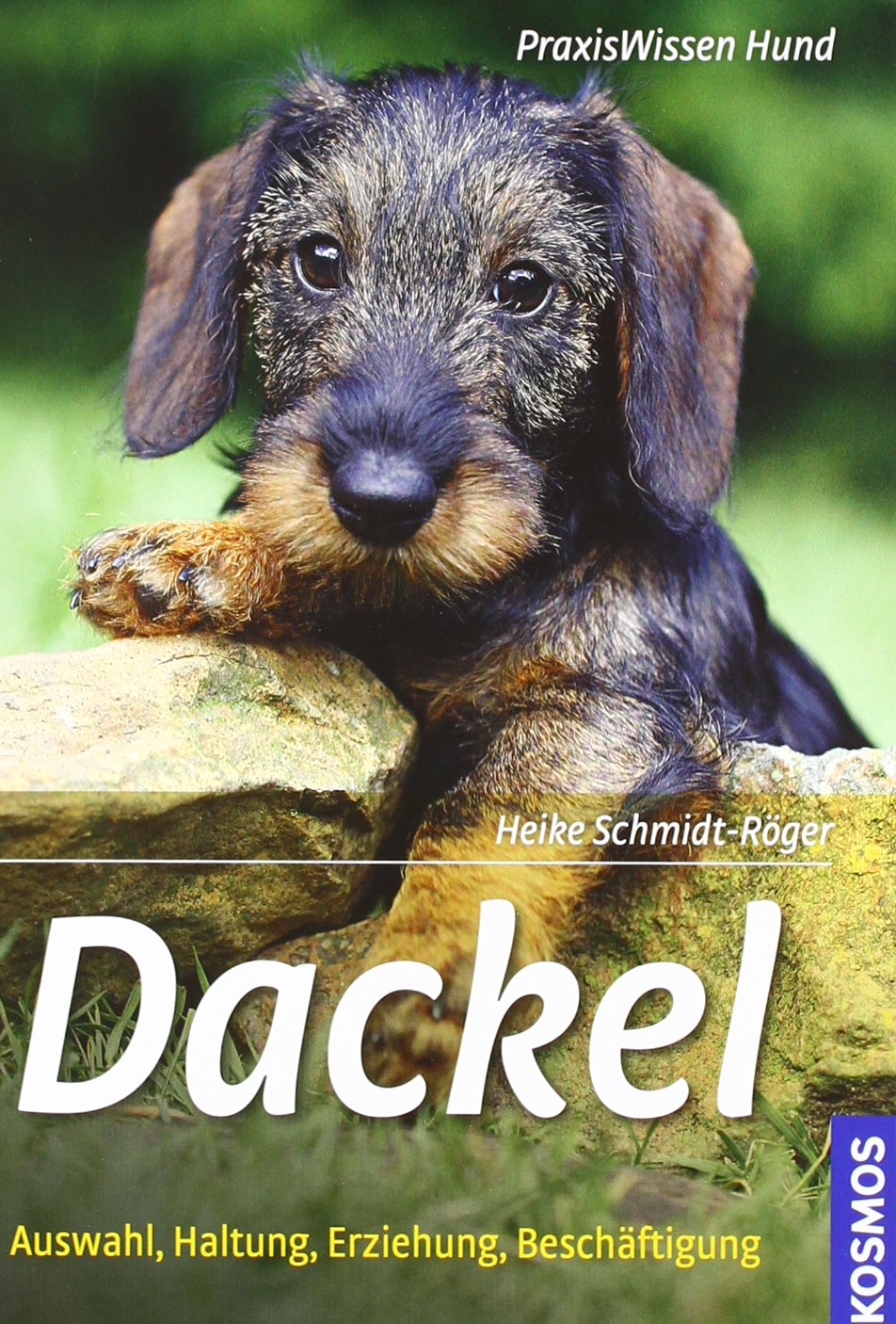 Dackel Pets