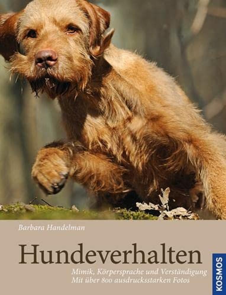 Hundeverhalten Pets