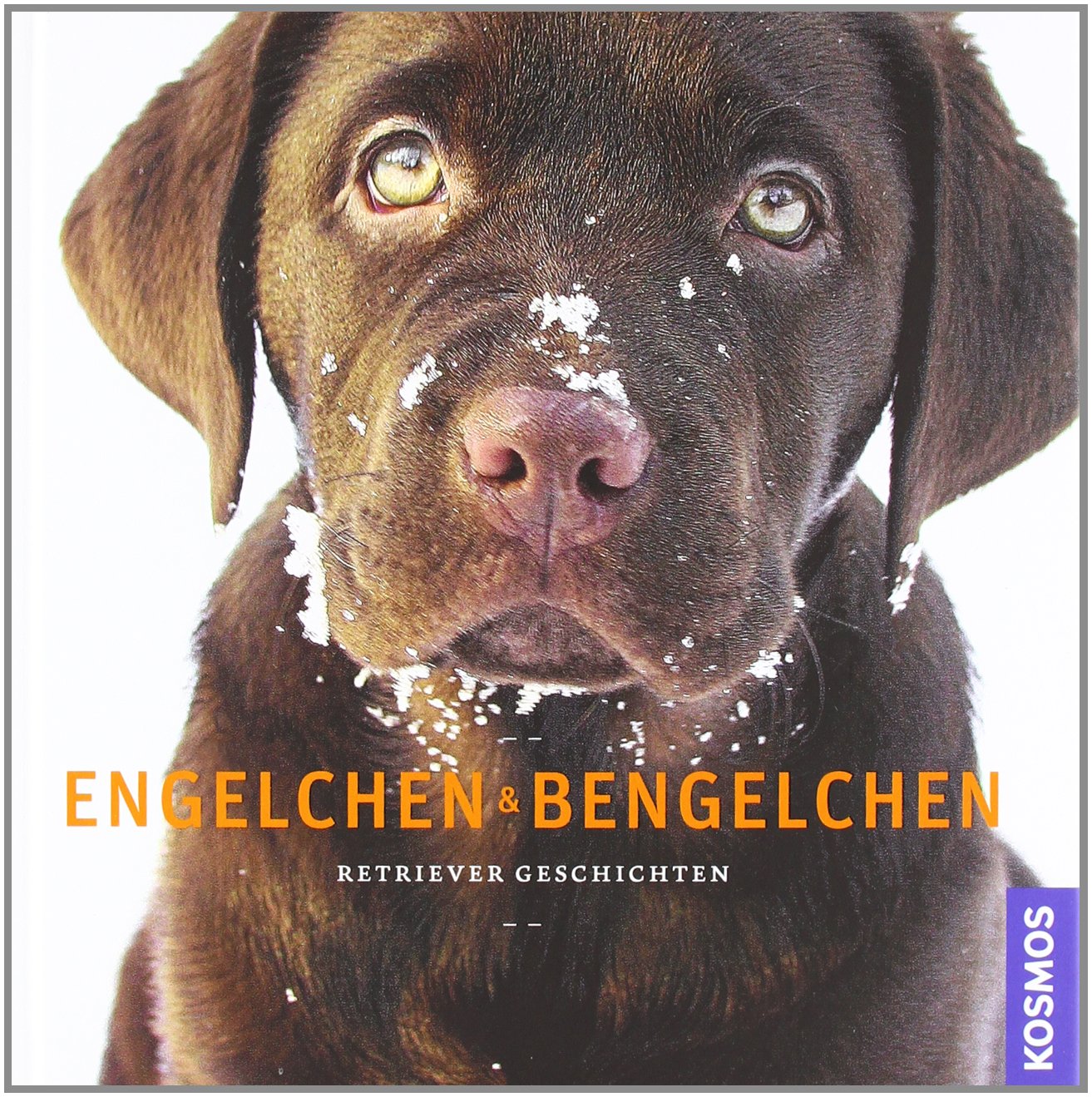 Engelchen & Bengelchen: Retriever Geschichten Books about Pets