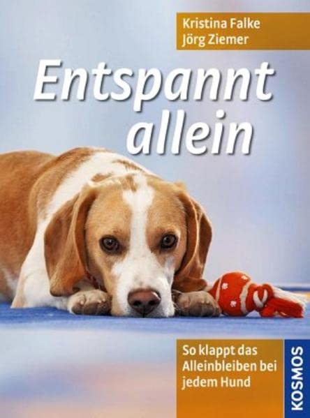 Entspannt allein Pets