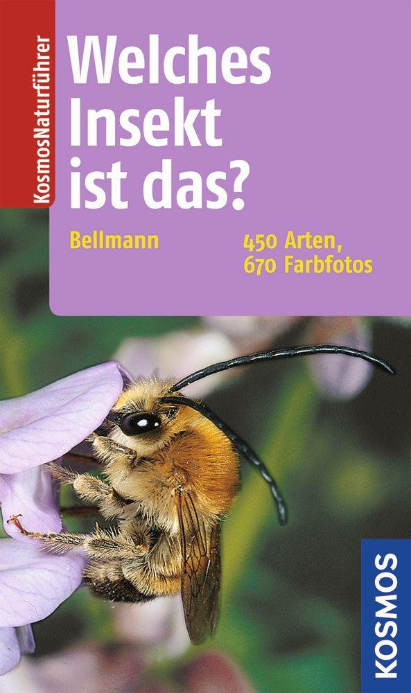 Product Image: Welches Insekt ist das?