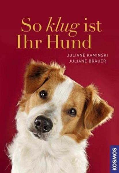 So klug ist Ihr Hund Pets